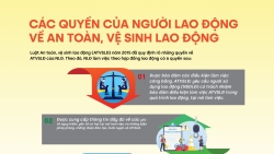 Các quyền của người lao động về an toàn, vệ sinh lao động