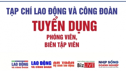 Tạp chí Lao động và Công đoàn tuyển phóng viên