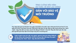 Tăng cường bảo đảm an toàn, vệ sinh lao động gắn với bảo vệ môi trường