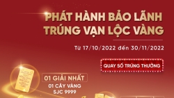 Phát hành bảo lãnh, nhận vàng SJC tại VietinBank