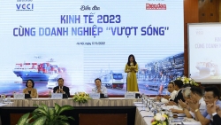 Khu vực doanh nghiệp đông về số lượng nhưng tiềm lực không mạnh