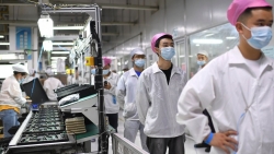 Nhà máy iPhone lớn nhất “hỗn loạn”, Foxconn giảm doanh thu, thị phần Apple đi xuống