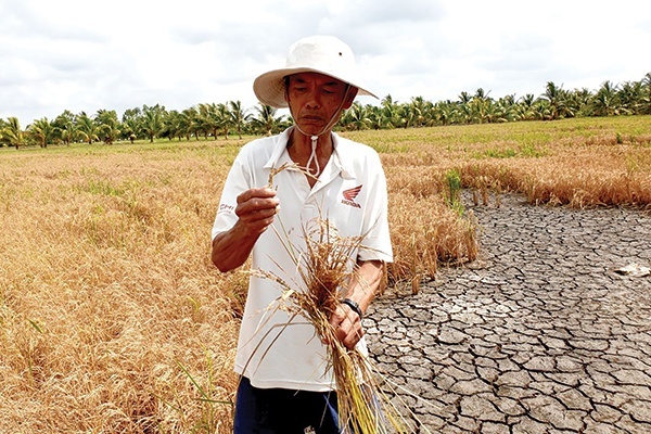 Trà Vinh chủ động phòng chống hạn, mặn sớm