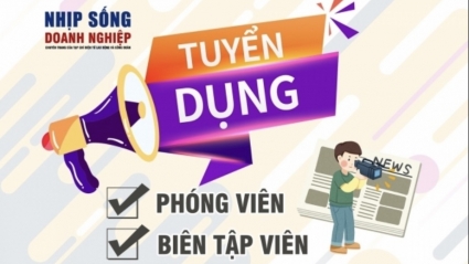 Nhịp sống Doanh nghiệp tuyển dụng biên tập viên, phóng viên