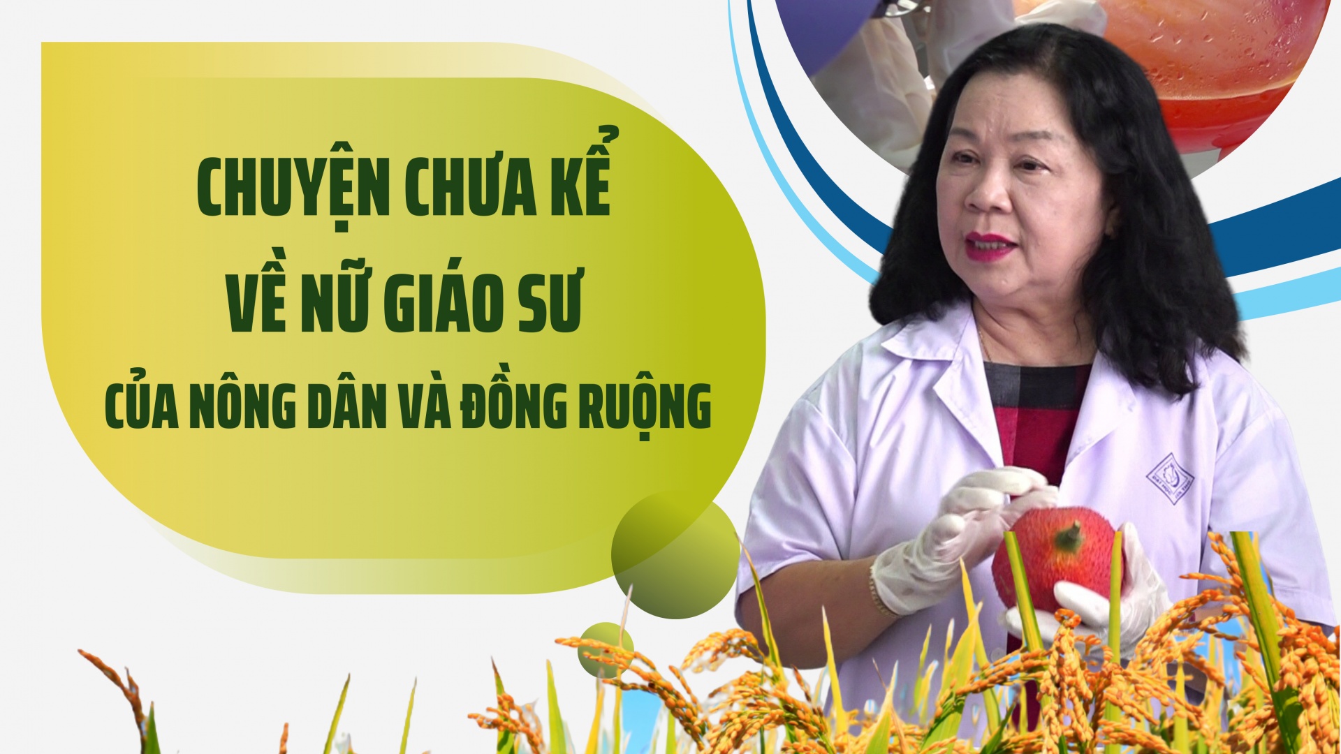 Chuyện chưa kể về nữ Giáo sư của nông dân và đồng ruộng