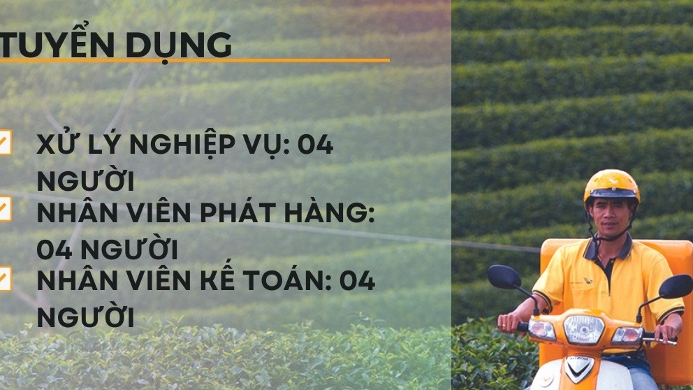 Bưu điện Tây Ninh tuyển dụng nhiều vị trí không yêu cầu kinh nghiệm, bằng cấp