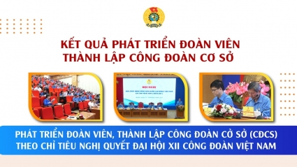 Kết quả phát triển đoàn viên, thành lập công đoàn cơ sở từ 2017 đến nay