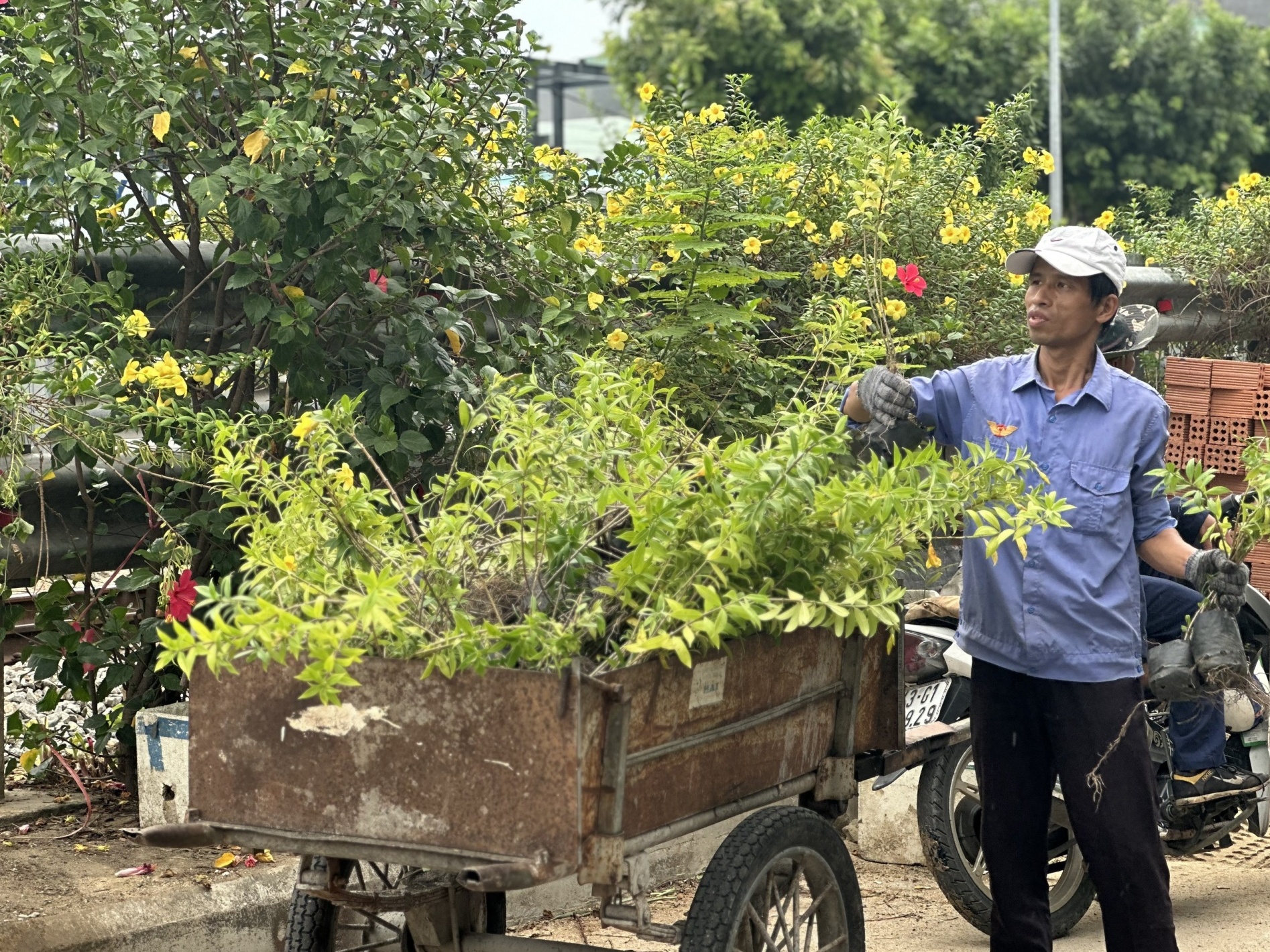 Công nhân, NLĐ ra quân hưởng ứng phong trào “Đường tàu - Đường hoa”