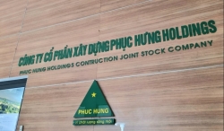 Phục Hưng Holdings góp 30% vốn thành lập công ty bất động sản