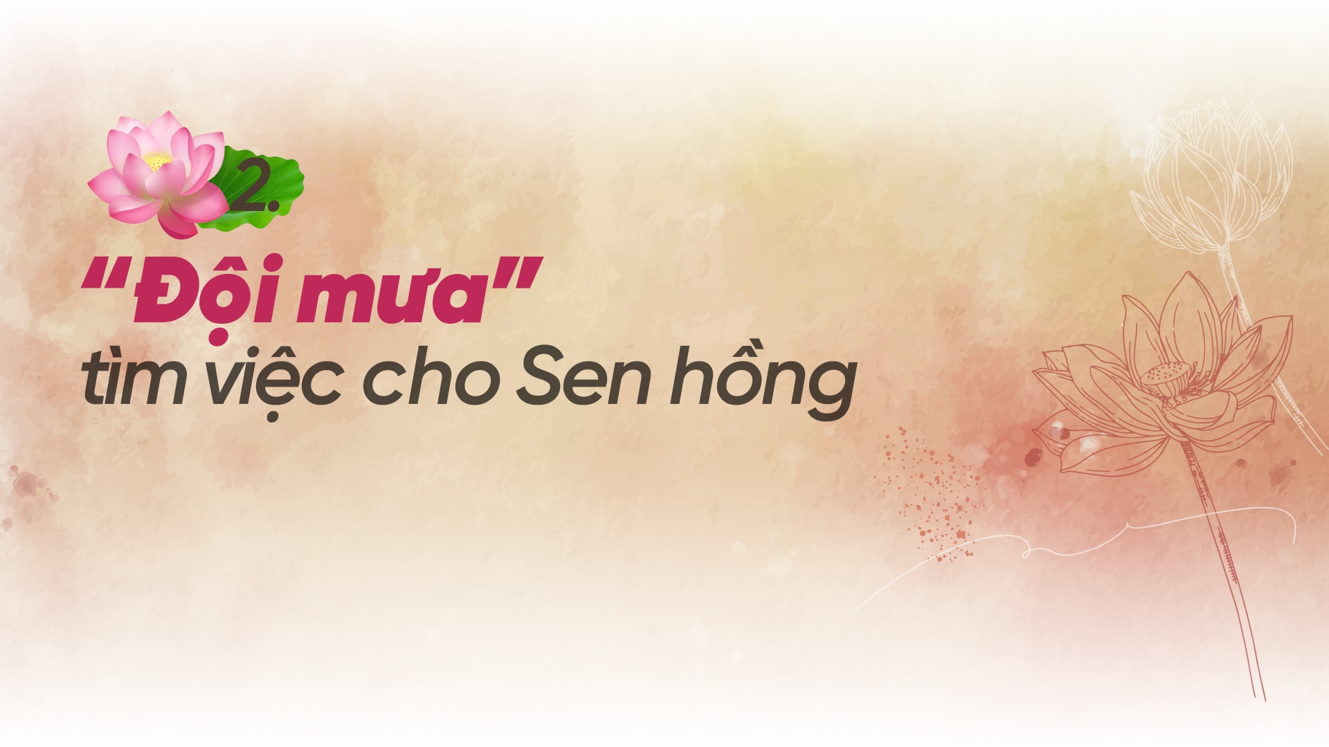 “Ông Hội đồng” đưa Sen Hồng ra thế giới