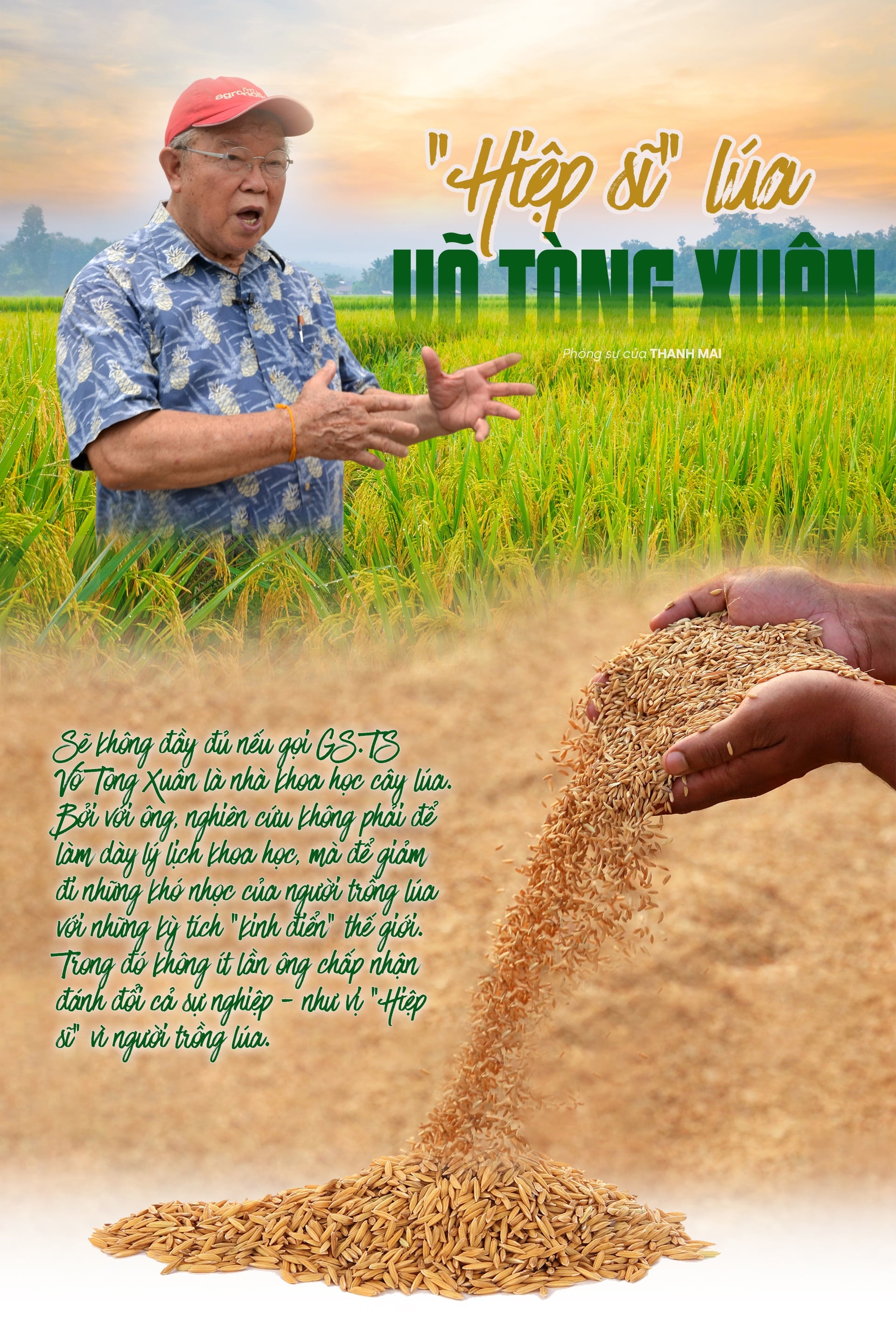 “Hiệp sĩ” lúa Võ Tòng Xuân