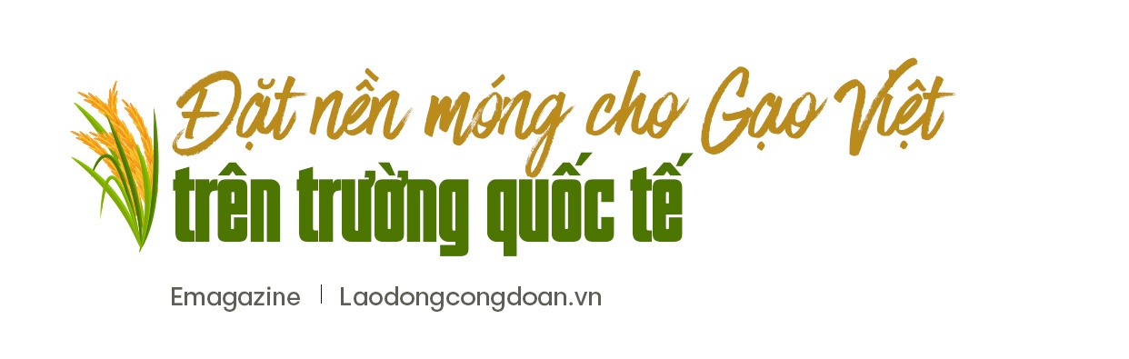 “Hiệp sĩ” lúa Võ Tòng Xuân