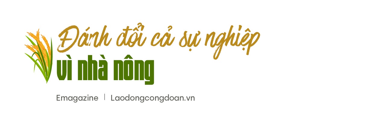 “Hiệp sĩ” lúa Võ Tòng Xuân