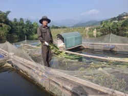 Từ người lầm lỡ thành đảng viên đi đầu trong phát triển kinh tế