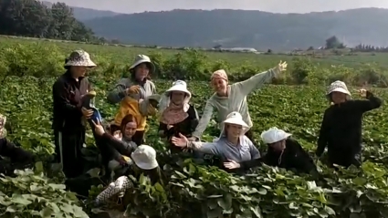 Đắk Lắk giải bài toán khó bằng “việc làm ngắn hạn” cho đồng bào thiểu số