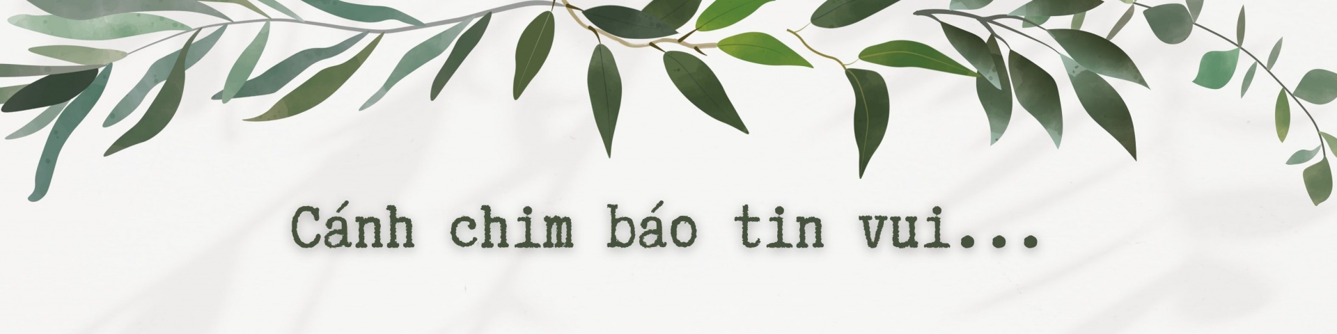 Làn gió mới trong các tổ chức phi chính phủ