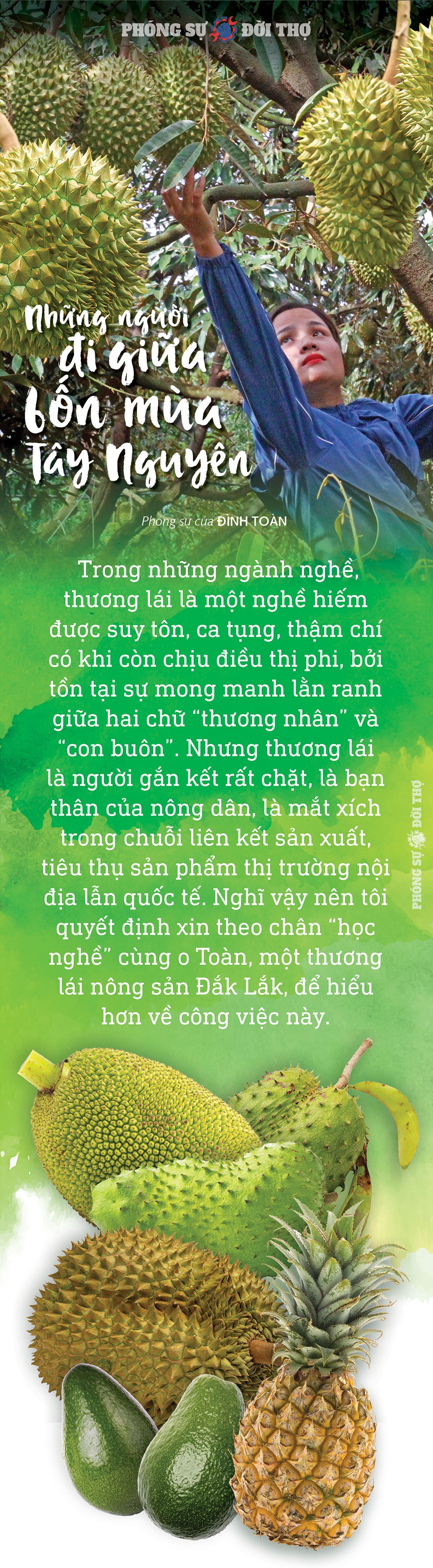 Những người đi giữa bốn mùa Tây Nguyên