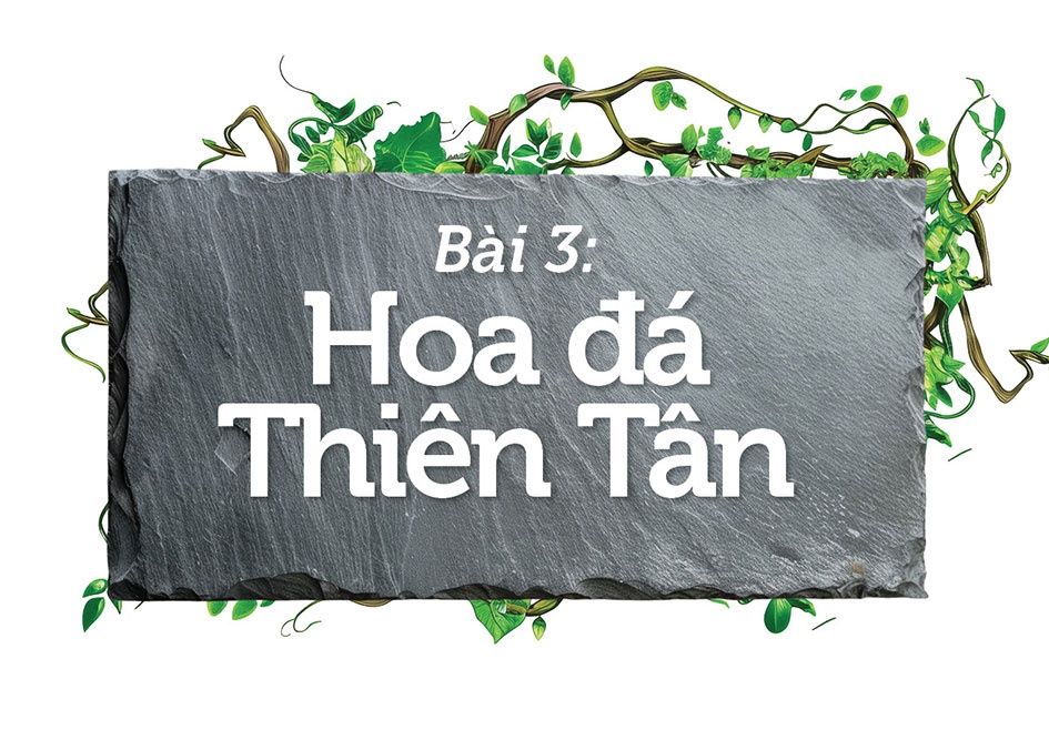 Bài 2: Một đời tận hiến với A Vao