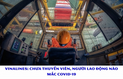 Vinalines: Chưa thuyền viên, người lao động nào mắc Covid-19