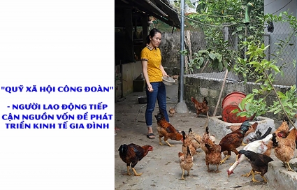 "Quỹ xã hội công đoàn" - người lao động được vay để phát triển kinh tế gia đình