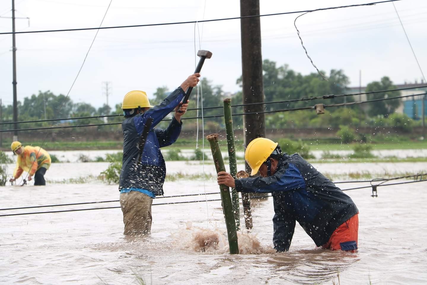 Chuyển đổi số trong quản lý an toàn lao động, thích ứng với tình hình dịch bệnh