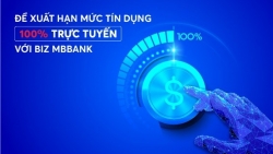 Phê duyệt cấp hạn mức tín dụng trên BIZ MBBank cho doanh nghiệp