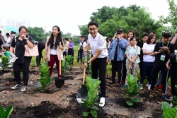 Trồng cây và khai bút đầu năm