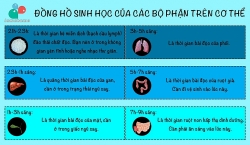 Các giải bóng đá châu Âu trở lại - Thức khuya và những hệ lụy (kỳ 3)