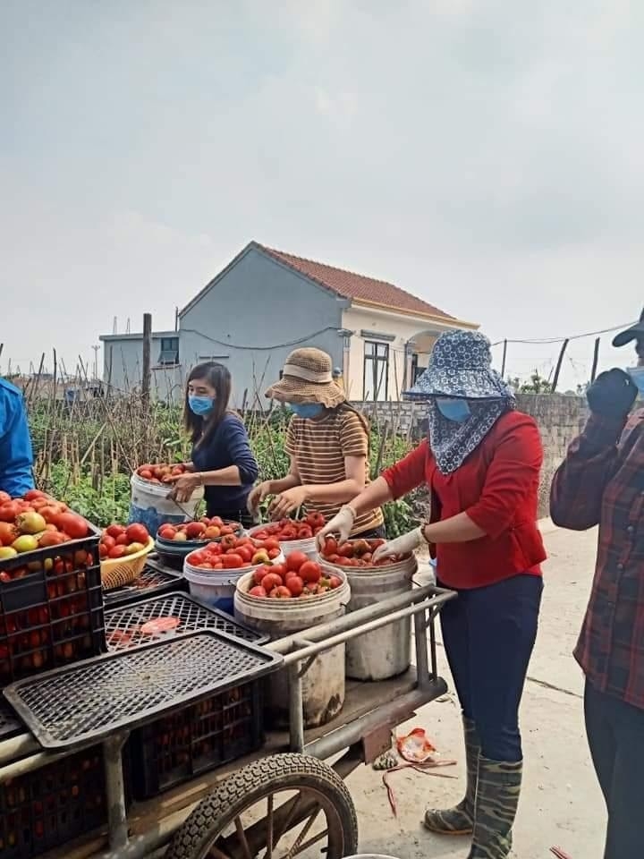 Hải Dương: Công nhân lao động làm công việc “không chuyên” trong ngày dịch bệnh