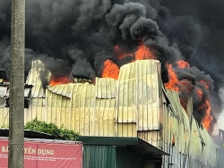 chay sieu thi nha xuong phai lam sao de het lo