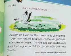 Biên soạn sách giáo khoa nên như thế nào?