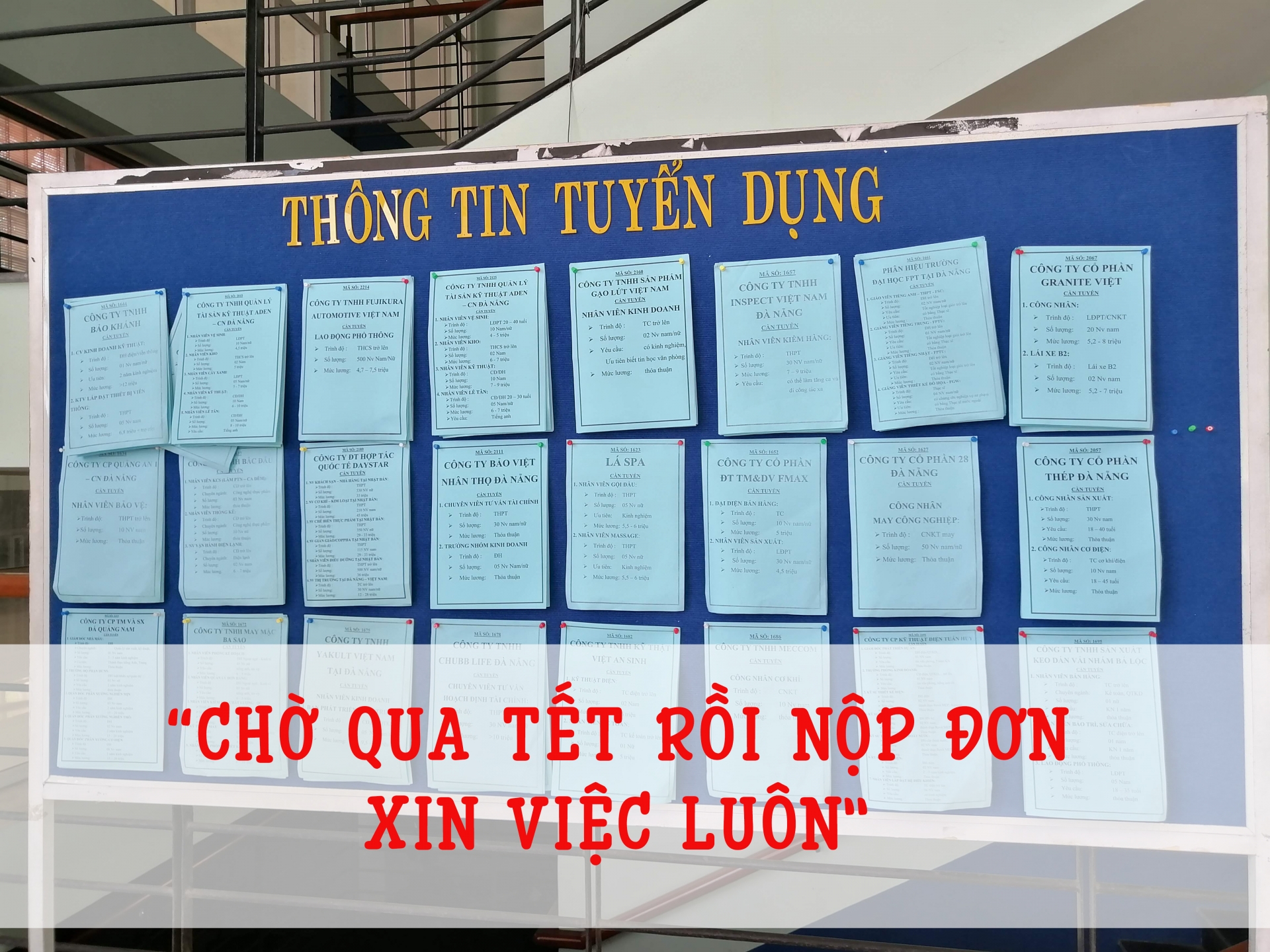 “Chờ qua Tết                  rồi nộp đơn xin việc luôn”