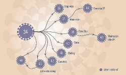 Vì sao bệnh nhân số 34 là ca "siêu lây nhiễm"?