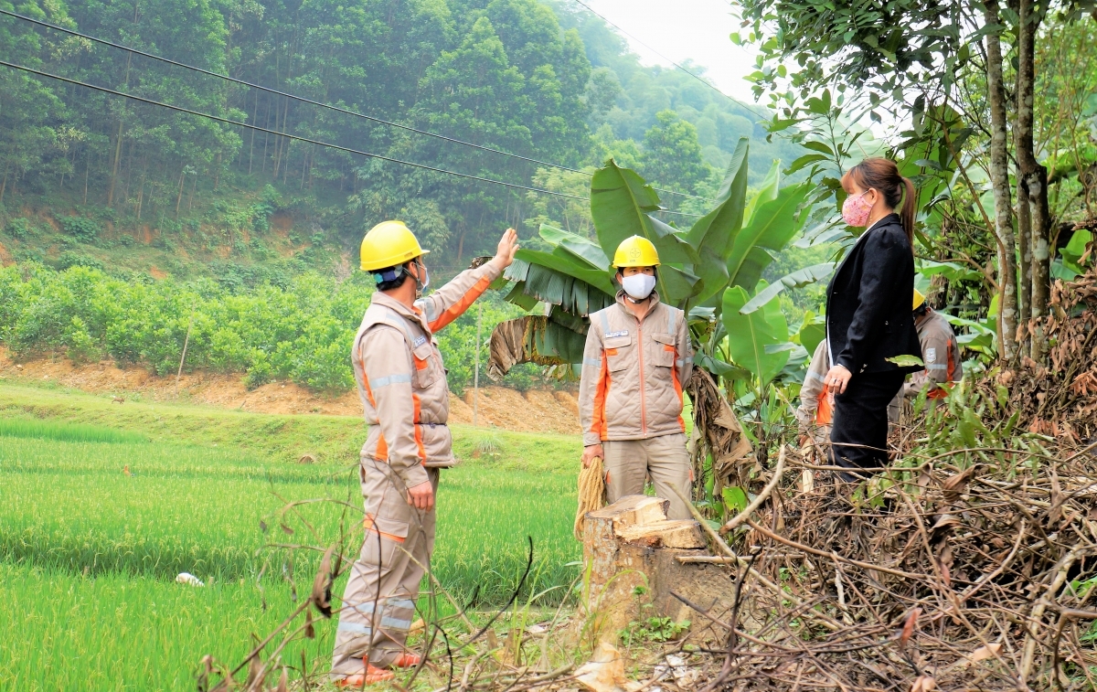 Công ty Điện lực Thanh Hóa: Đẩy mạnh xây dựng văn hóa an toàn lao động