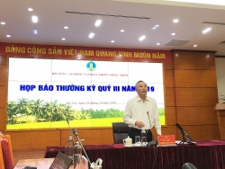 1.100ha rừng bị cháy trong 9 tháng đầu năm 2019