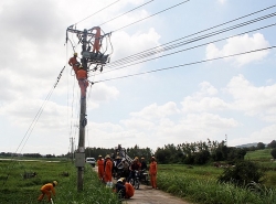 Một công nhân bị điện giật tử vong trong lúc thi công đường dây điện