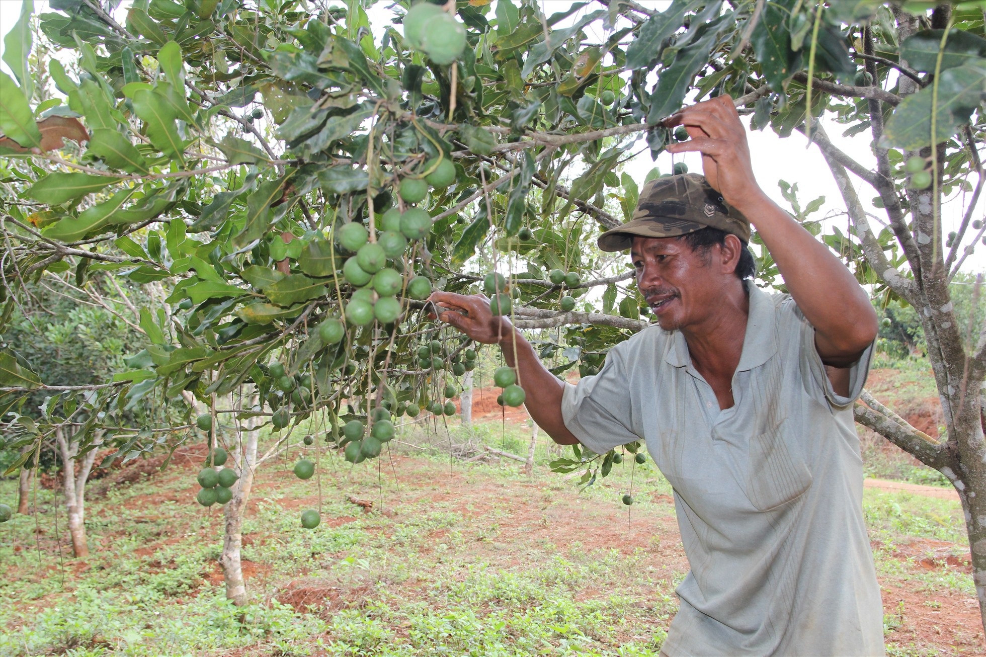 Nông sản Đắk Nông sẵn sàng xuất ngoại