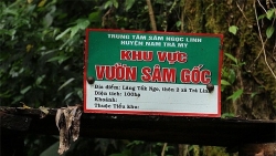 asia pharmacy va dong duoc viet khong du dieu kien san xuat thuoc