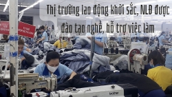 Thị trường lao động khởi sắc, người lao động được đào tạo nghề hỗ trợ việc làm