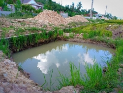 nghe an roi tu tang 4 xuong dat thay giao nuoc ngoai tu vong