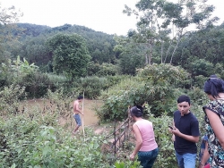 bat 3 doi tuong chuyen lua phu nu tre dua sang trung quoc ban