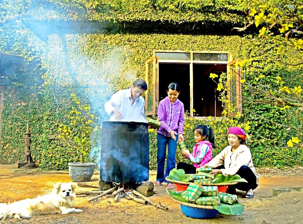 Xuân này con không về...