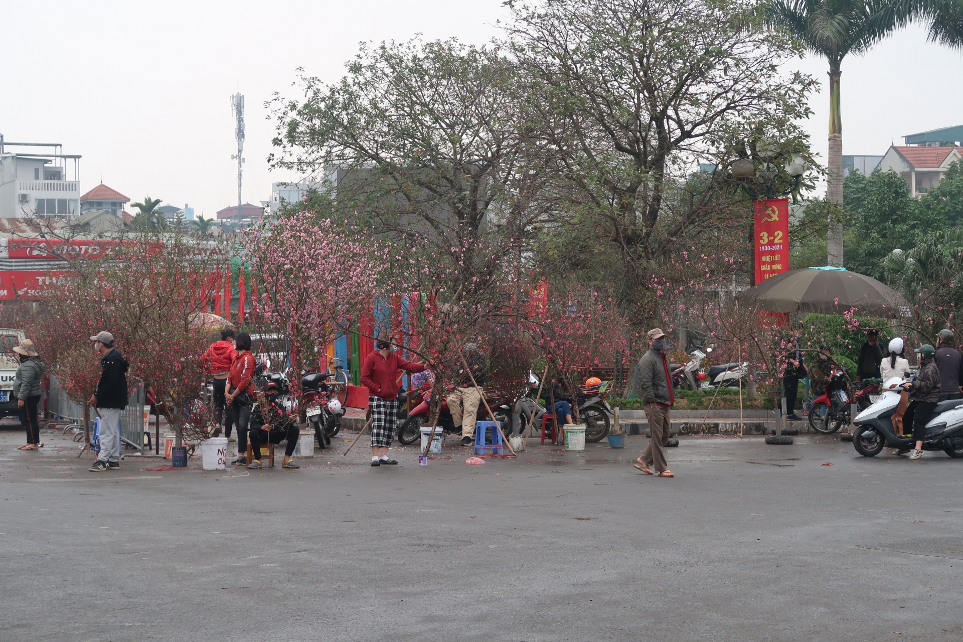 Lao động chợ hoa lao đao vì dịch Covid - 19