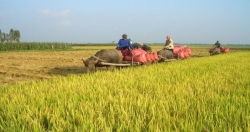 Cần có cách nhìn thoáng hơn để người nông dân dễ tiếp cận vốn