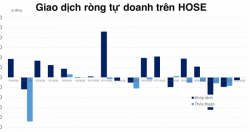 Tự doanh bán ròng mạnh MWG