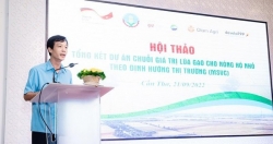 Hỗ trợ 10.000 nông hộ nhỏ trồng lúa tăng 17% thu nhập