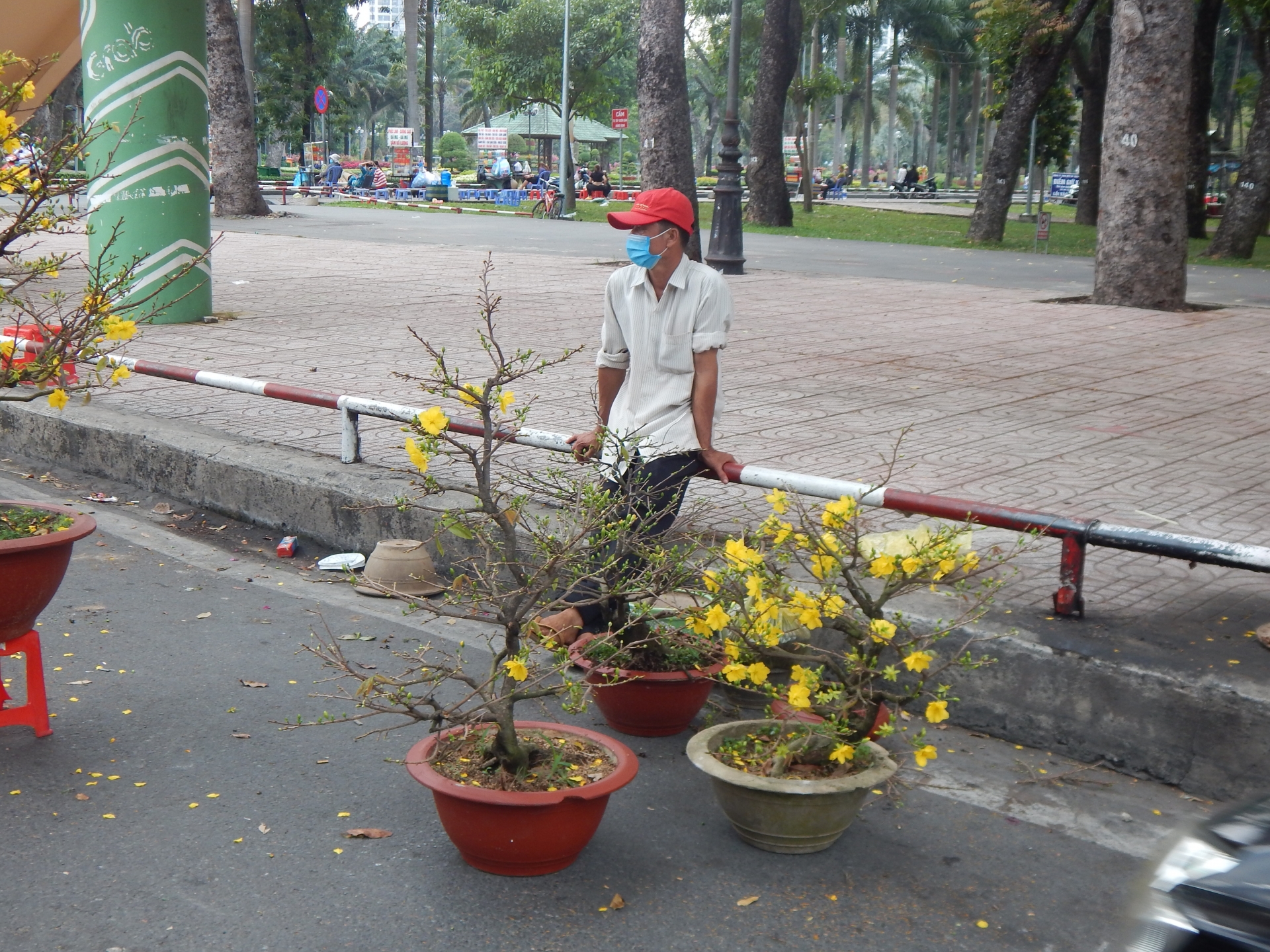 “Một vụ Tết thất bát, nhưng sức khỏe quan trọng hơn, sang năm tôi sẽ làm lại từ đầu”