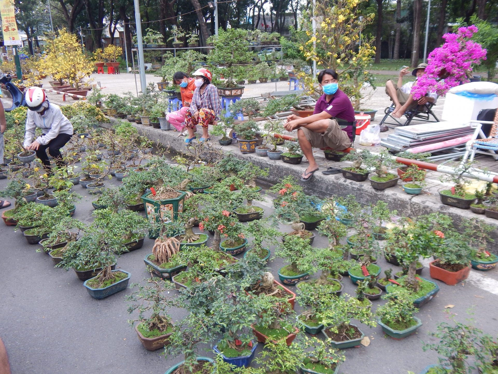 “Một vụ Tết thất bát, nhưng sức khỏe quan trọng hơn, sang năm tôi sẽ làm lại từ đầu”