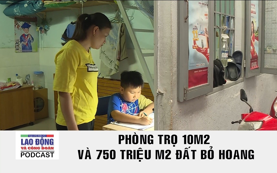 Podcast game doi thuong
: Phòng trọ 10m2 và 750 triệu m2 đất bỏ hoang