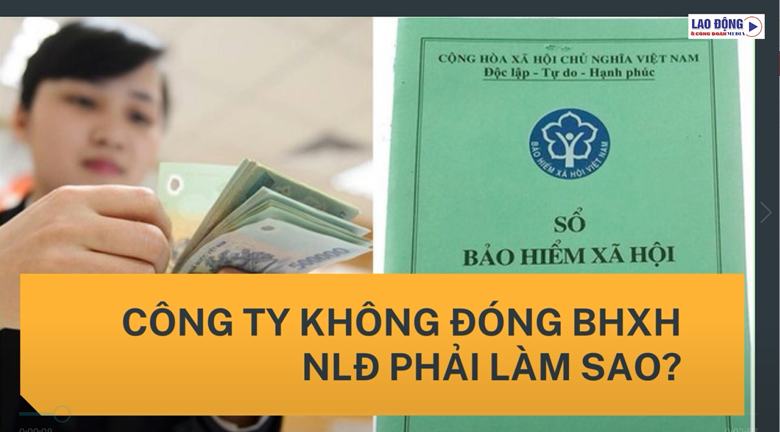 Công ty không đóng bảo hiểm xã hội, người lao động phải làm sao?